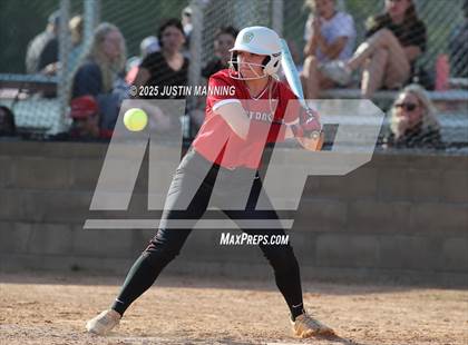 Thumbnail 2 in Mayflower @ Glen Rose photogallery.