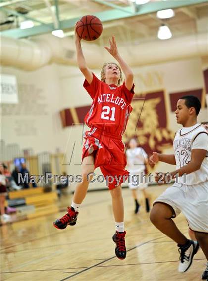 Thumbnail 3 in Antelope @ Whitney photogallery.