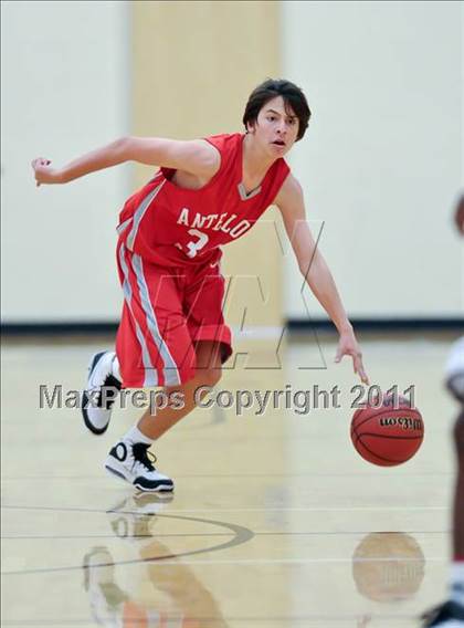 Thumbnail 1 in Antelope @ Whitney photogallery.