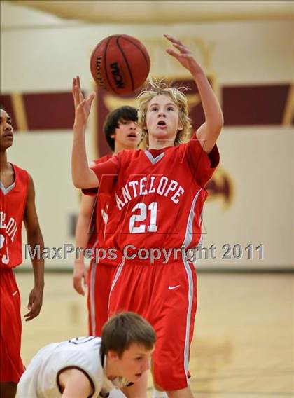 Thumbnail 3 in Antelope @ Whitney photogallery.