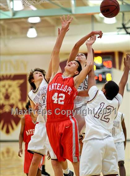 Thumbnail 3 in Antelope @ Whitney photogallery.