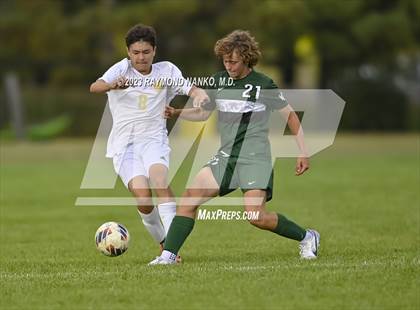 Thumbnail 2 in Mt. Vernon @ Pendleton Heights photogallery.