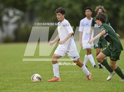 Thumbnail 3 in Mt. Vernon @ Pendleton Heights photogallery.