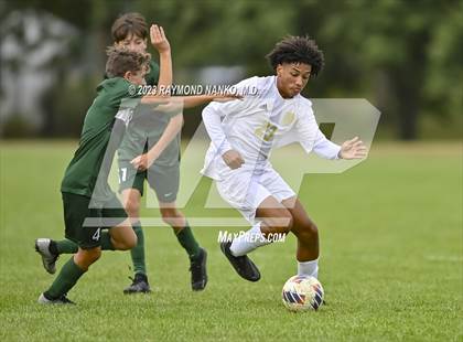 Thumbnail 2 in Mt. Vernon @ Pendleton Heights photogallery.