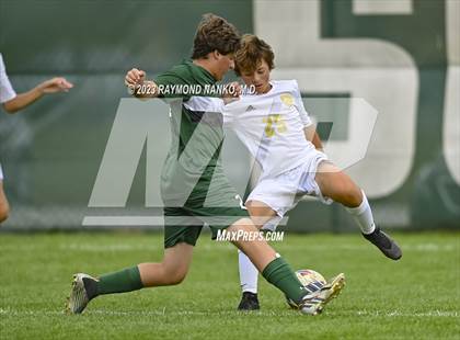 Thumbnail 3 in Mt. Vernon @ Pendleton Heights photogallery.