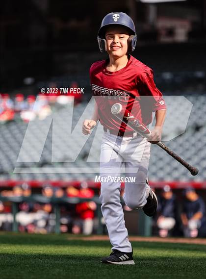 Thumbnail 1 in Esperanza vs. Los Alamitos photogallery.