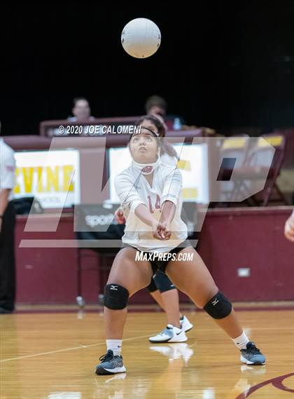 Thumbnail 3 in Poteet vs Ingram Moore photogallery.