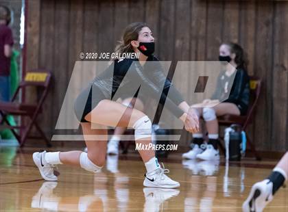 Thumbnail 1 in Poteet vs Ingram Moore photogallery.