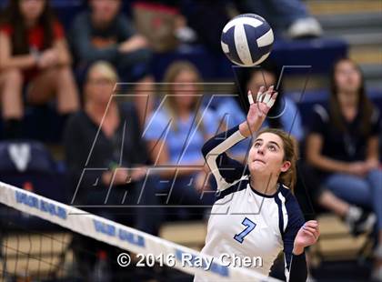 Thumbnail 1 in Lewis-Palmer @ Valor Christian photogallery.