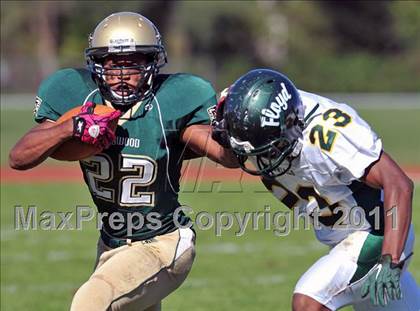 Thumbnail 3 in William Floyd @ Longwood photogallery.