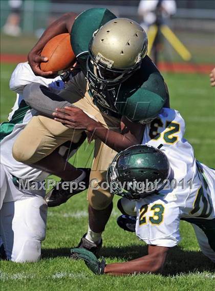 Thumbnail 3 in William Floyd @ Longwood photogallery.