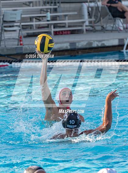 Thumbnail 3 in Mater Dei @ Servite photogallery.