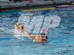Photo from the gallery "Mater Dei @ Servite"