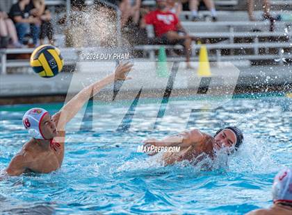 Thumbnail 3 in Mater Dei @ Servite photogallery.