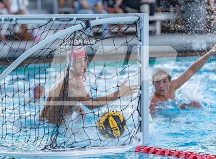 Thumbnail 1 in Mater Dei @ Servite photogallery.