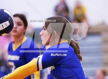 Thumbnail 3 in Bryson vs Perrin-Whitt photogallery.