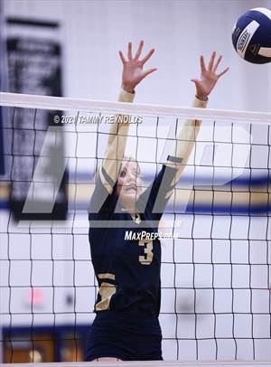 Bryson vs Perrin-Whitt