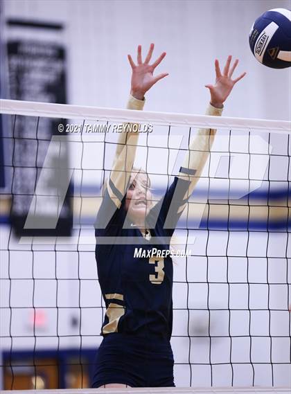 Thumbnail 3 in Bryson vs Perrin-Whitt photogallery.