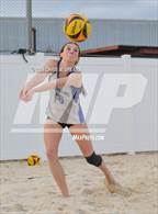 Photo from the gallery "Belleview @ Forest"