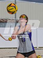 Photo from the gallery "Belleview @ Forest"
