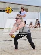 Photo from the gallery "Belleview @ Forest"
