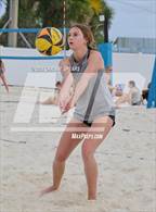 Photo from the gallery "Belleview @ Forest"