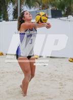 Photo from the gallery "Belleview @ Forest"