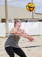 Photo from the gallery "Belleview @ Forest"