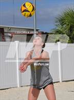 Photo from the gallery "Belleview @ Forest"