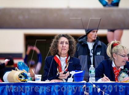 Thumbnail 1 in NYSPHSAA Gymnastics Championships (Ceremonies, Awards, Candids and Groups)  photogallery.