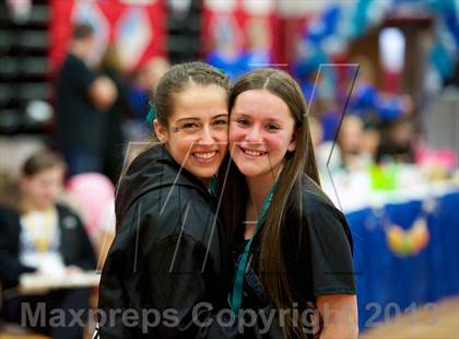 Thumbnail 2 in NYSPHSAA Gymnastics Championships (Ceremonies, Awards, Candids and Groups)  photogallery.