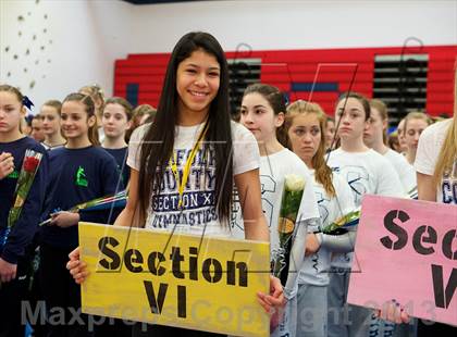 Thumbnail 2 in NYSPHSAA Gymnastics Championships (Ceremonies, Awards, Candids and Groups)  photogallery.