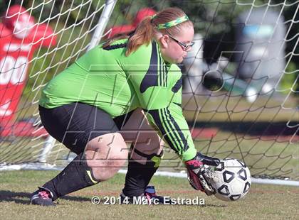 Thumbnail 2 in Academy of the Holy Names @ Carrollwood Day photogallery.