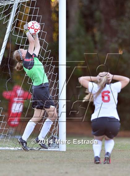 Thumbnail 3 in Academy of the Holy Names @ Carrollwood Day photogallery.