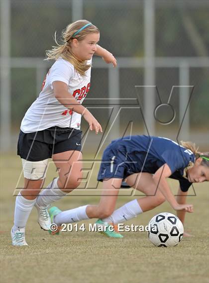 Thumbnail 3 in Academy of the Holy Names @ Carrollwood Day photogallery.