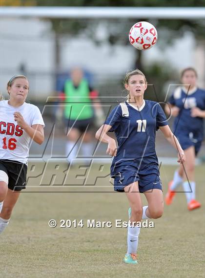 Thumbnail 2 in Academy of the Holy Names @ Carrollwood Day photogallery.