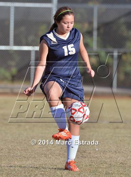 Thumbnail 3 in Academy of the Holy Names @ Carrollwood Day photogallery.