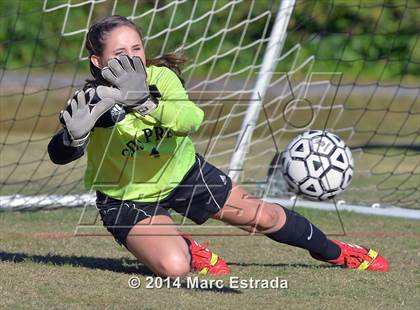 Thumbnail 3 in Academy of the Holy Names @ Carrollwood Day photogallery.