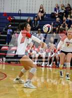Photo from the gallery "Doherty @ Liberty"
