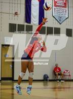 Photo from the gallery "Doherty @ Liberty"