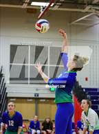 Photo from the gallery "Doherty @ Liberty"