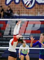 Photo from the gallery "Doherty @ Liberty"