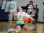 Photo from the gallery "Doherty @ Liberty"