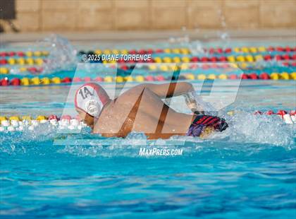 Thumbnail 2 in Segerstrom vs. Ocean View photogallery.