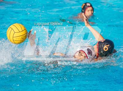 Thumbnail 3 in Segerstrom vs. Ocean View photogallery.
