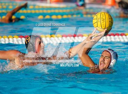 Thumbnail 3 in Segerstrom vs. Ocean View photogallery.