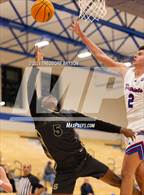 Photo from the gallery "Springfield @ Page (Music City Hoopfest)"
