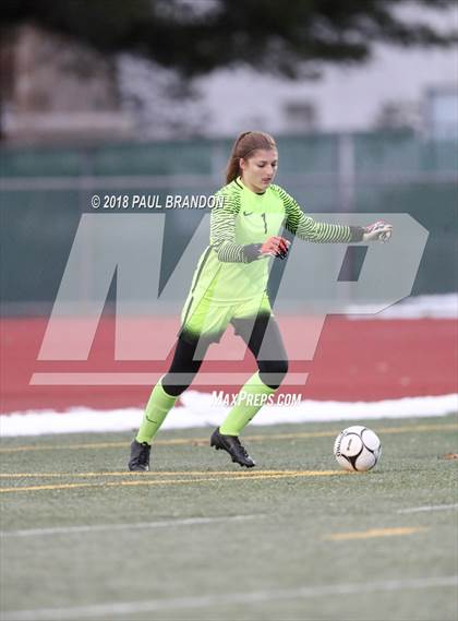 Thumbnail 2 in Tolland vs. Farmington (CIAC Girls Class L Final) photogallery.