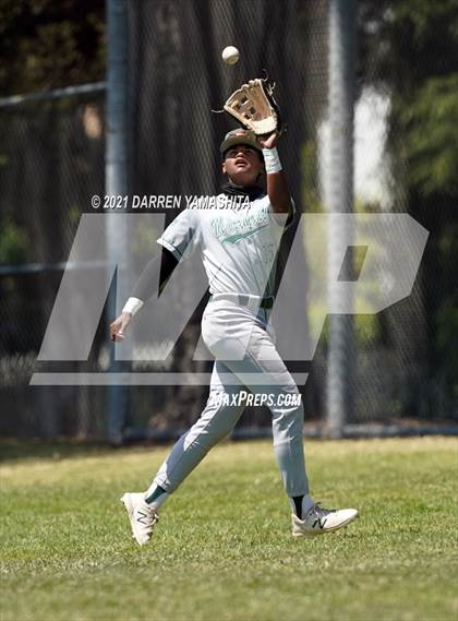 Thumbnail 1 in Miramonte @ Albany photogallery.