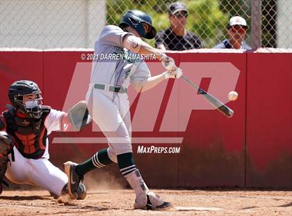 Thumbnail 3 in Miramonte @ Albany photogallery.